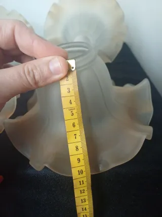 4 Tulipas Modernistas.