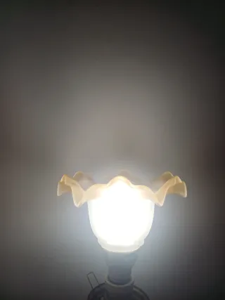 4 Tulipas Modernistas.