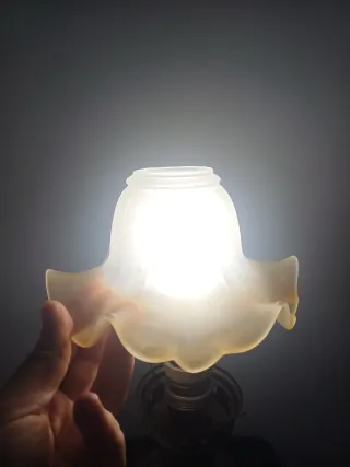 4 Tulipas Modernistas.