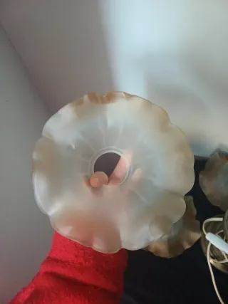 4 Tulipas Modernistas.