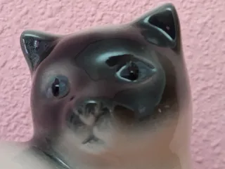 Gato porcelana Siamés 14/16 cm Nuevo