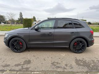 Audi SQ5 2013