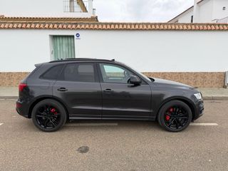 Audi SQ5 2013
