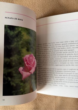 Experts della grappa