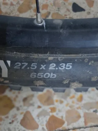 Bicicleta Eléctrica Trek mod. Powerfly+FSS