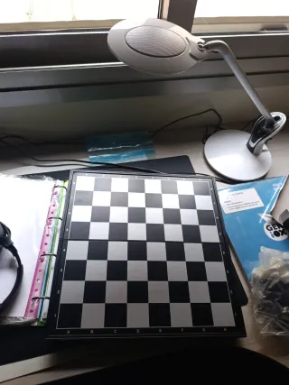 Gioco di Scacchi Magnetico Portatile