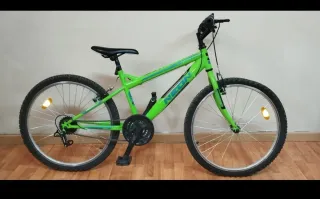 Bicicleta Infantil Neon Verde
