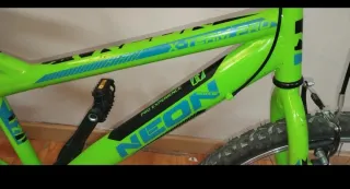 Bicicleta Infantil Neon Verde