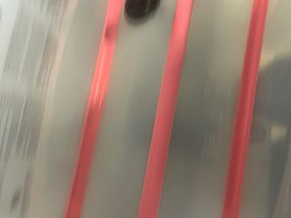 Lote Bebé: Stokke, Chicco, Báscula