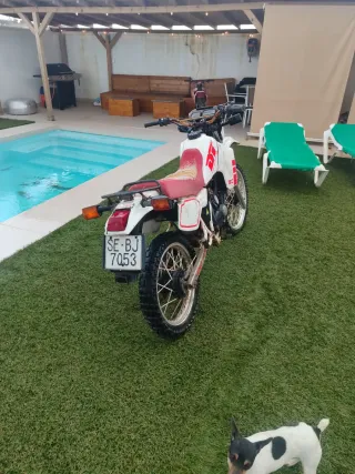 Yamaha DT 80 Enduro Manual