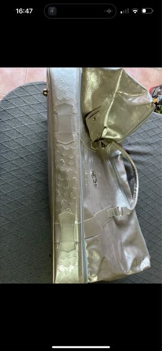 Bolsa de viaje plateada grande