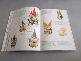 LA LLAMADA DE LOS GNOMOS - WIL HUYGEN - RIEN