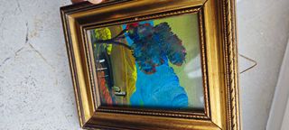 Quadro paesaggio vintage paysage paisaje art chic