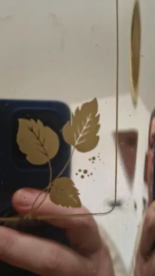 Portatovaglioli e vassoio acciaio inox