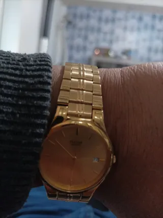 Reloj Pulsera Dorado Pulsar/Seiko  Mismo