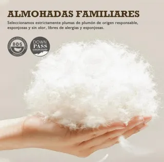 EN VENTA 2 ALMOHADAS NUEVAS