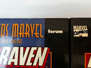 KILLRAVEN COMPLETA CLASICOS MARVEL BLANCO Y NEGRO