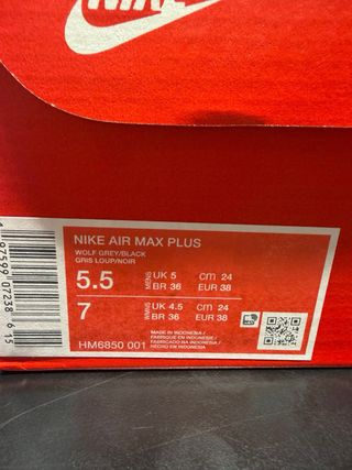 Nike Air Max Plus TN Tiempo Plata/Negro