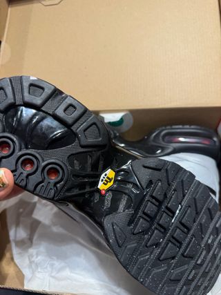 Nike Air Max Plus TN Tiempo Plata/Negro