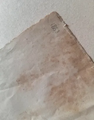 Disegno originale 1883