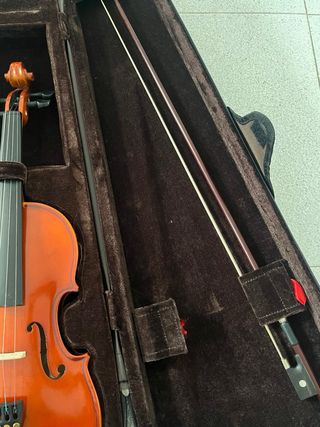 Violín con funda