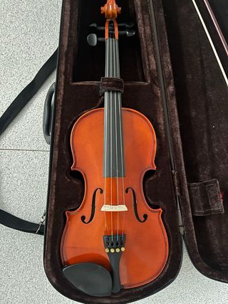 Violín con funda