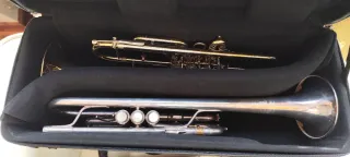 Funda dos trompetas protec/stomvi