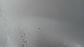 Neopreno Nabaiji mujer talla 46