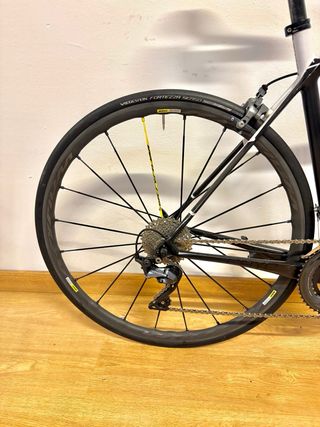 Bicicleta carretera FOCUS CAYO CARBONO T-M