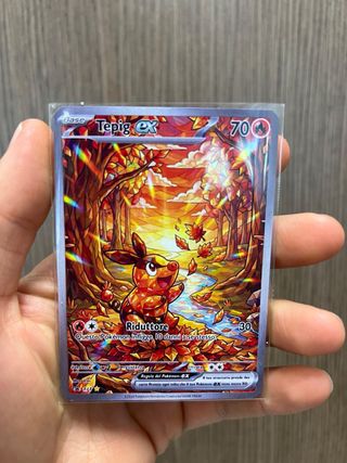 Carta Pokémon Base Tepig EX - Fan Art