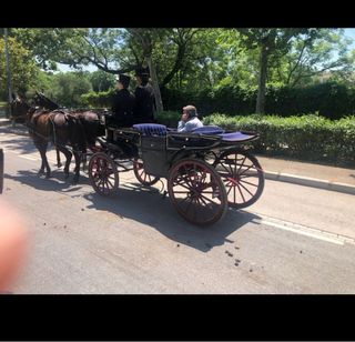 Coche de caballos Landau siglo XIX