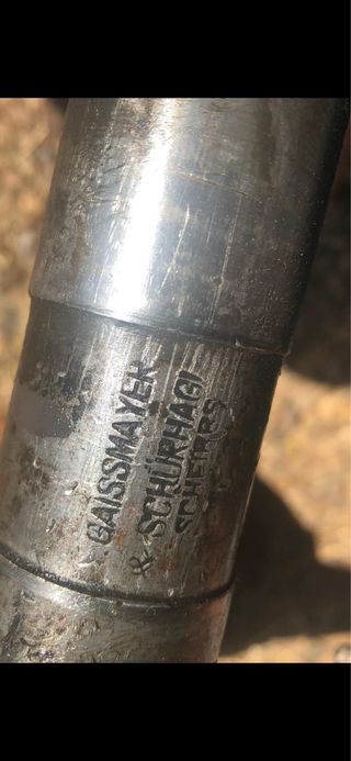 Coche de caballos Landau siglo XIX