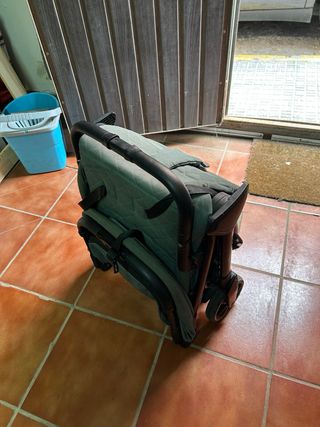 Carrito de paseo Easywalker verde