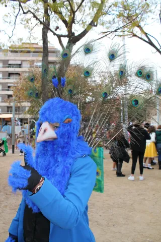 Disfraz Pavo Real Adulto