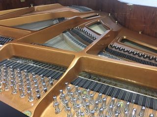 Piano de Cola 160cm Nuevo