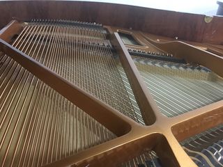 Piano de Cola 160cm Nuevo