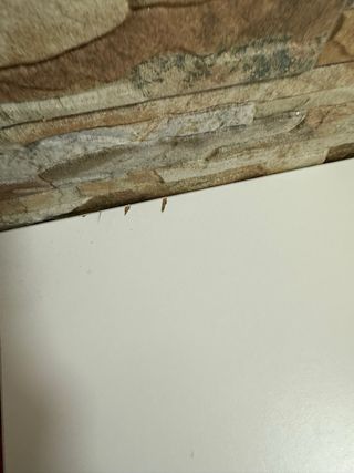 Mesa Comedor IKEA Melltorp Blanca