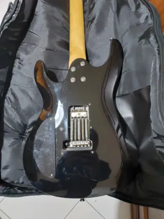 Chitarra Elettrica Pasadena + Multieffetto