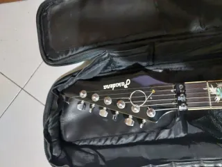 Chitarra Elettrica Pasadena + Multieffetto