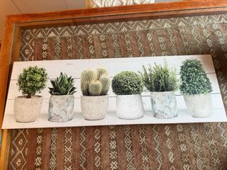 Cuadro Decorativo Plantas Macetas