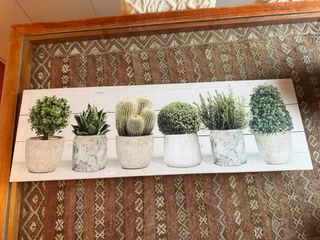 Cuadro Decorativo Plantas Macetas
