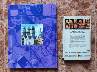 Libros Gaudí y el enjambre