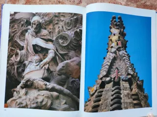 Libros Gaudí y el enjambre