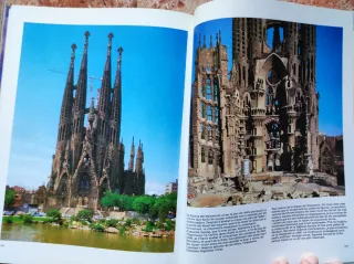 Libros Gaudí y el enjambre
