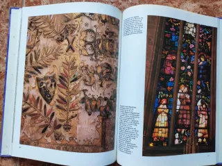 Libros Gaudí y el enjambre