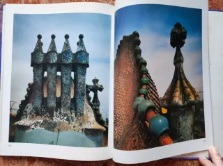 Libros Gaudí y el enjambre