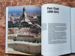 Libros Gaudí y el enjambre