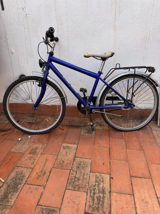Bicicleta azul con portaequipajes