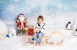 Trineo de madera marrón