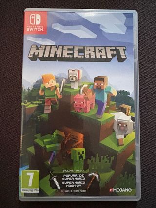 Minecraft Nintendo Switch